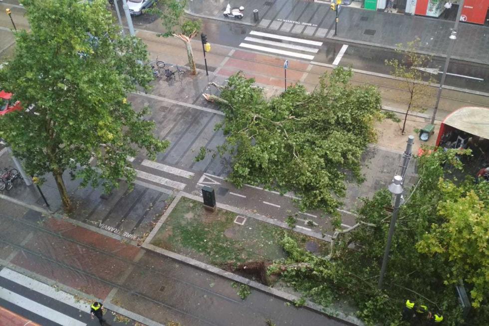 Tormenta atípica en Zaragoza