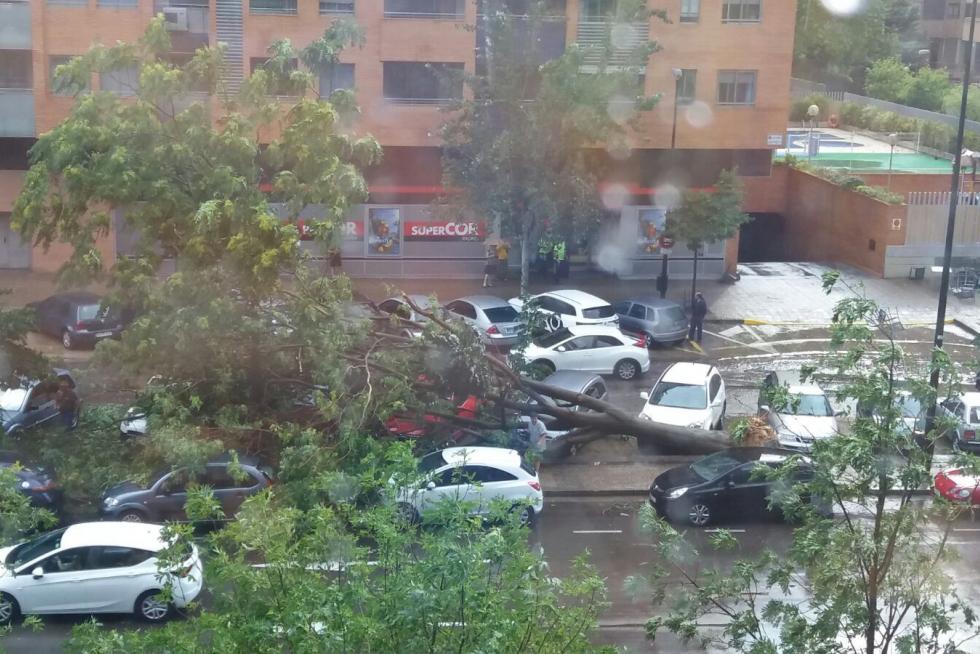 Afecciones en la zona de Aragonia.