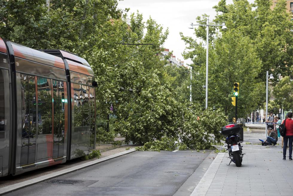 Efectos de la tromba en Zaragoza