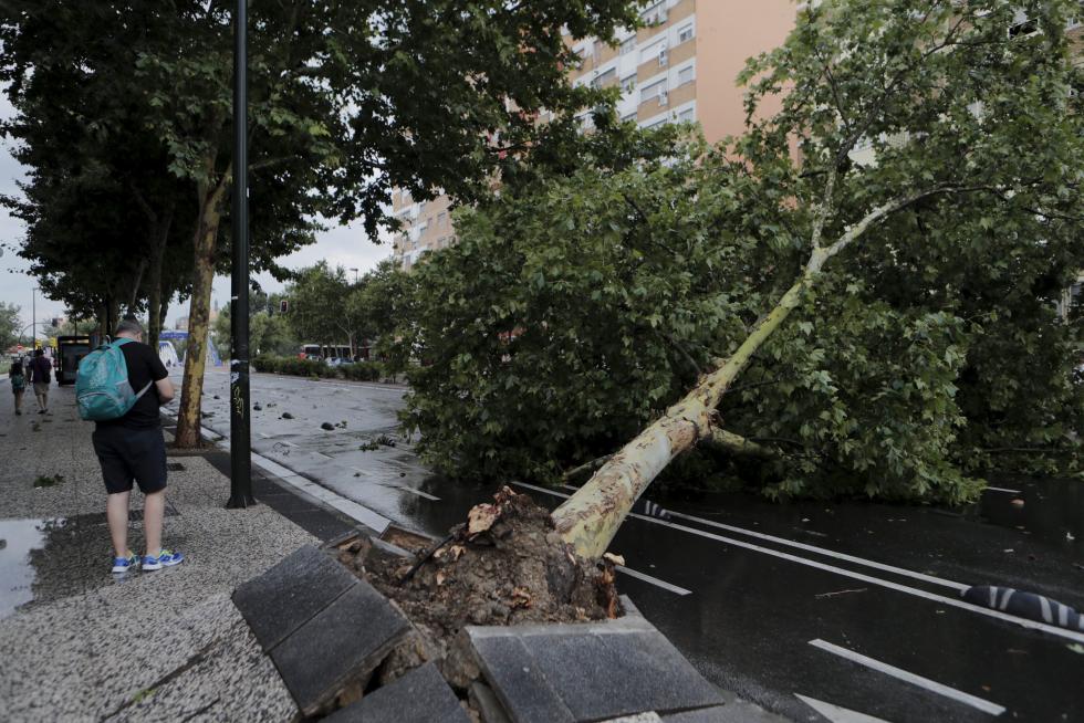Efectos de la tromba en Zaragoza