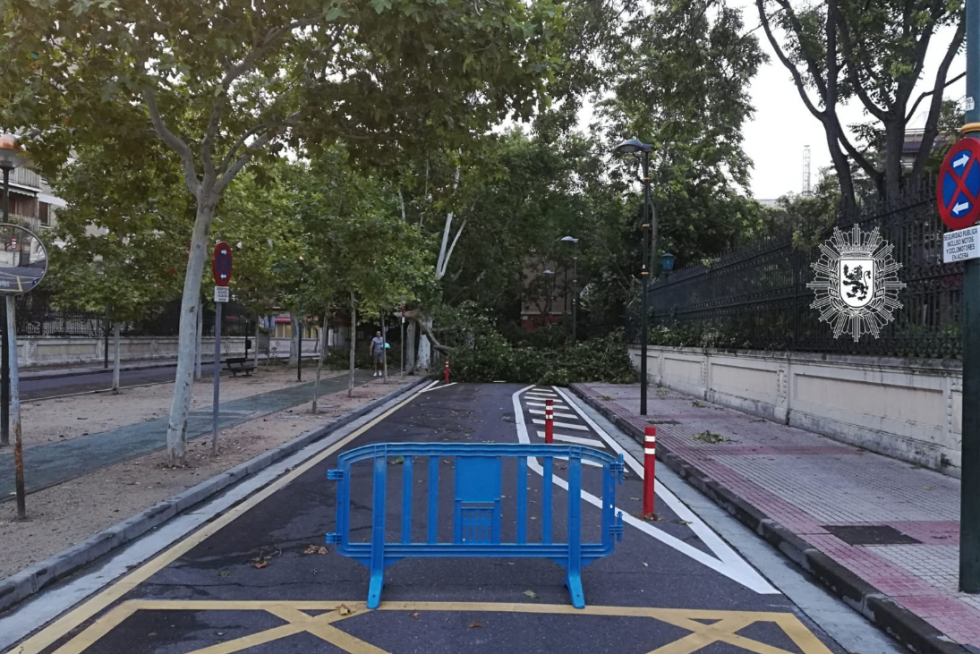 Acceso cortado desde Domingo Miral a Pedro Cerbuna por la caída de un árbol