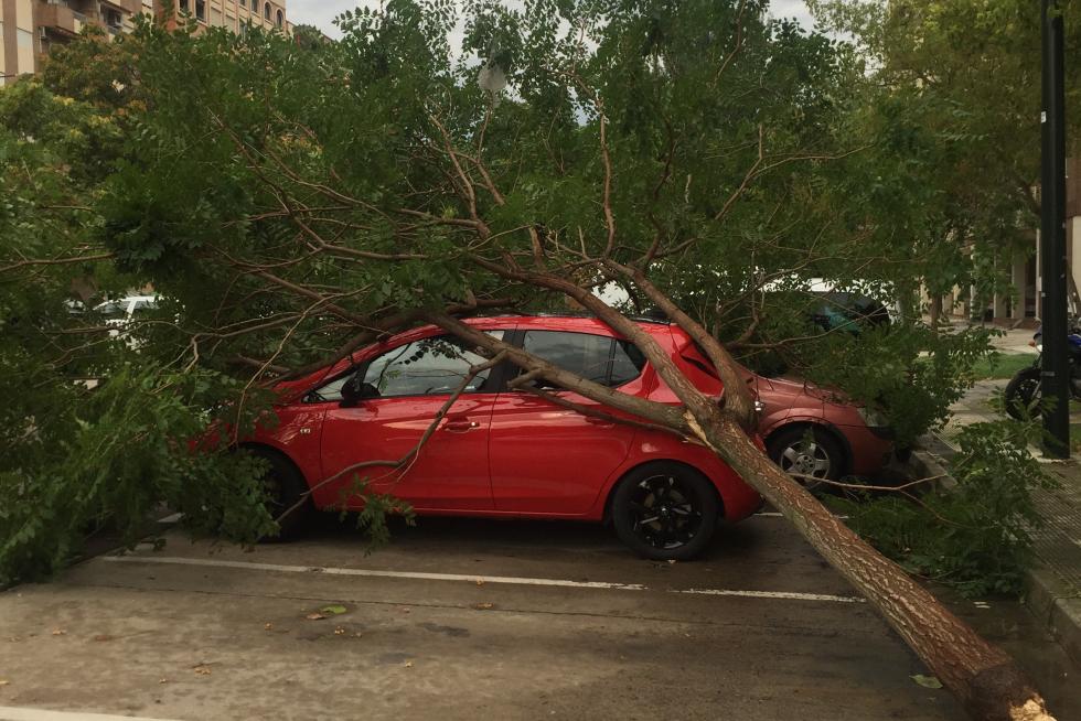 Tormenta en Zaragoza