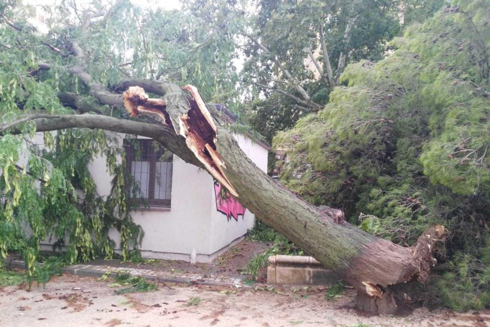 Tormenta en Zaragoza