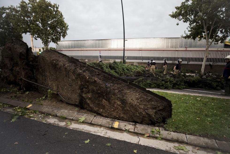 Tormenta en Zaragoza