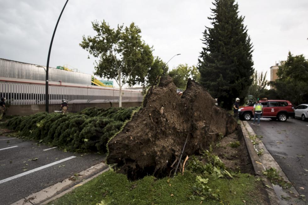 Tormenta en Zaragoza