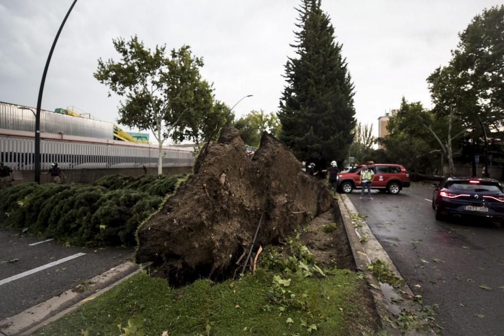 Tormenta en Zaragoza