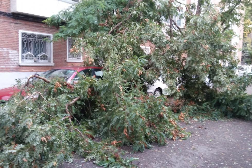 Tormenta en Zaragoza