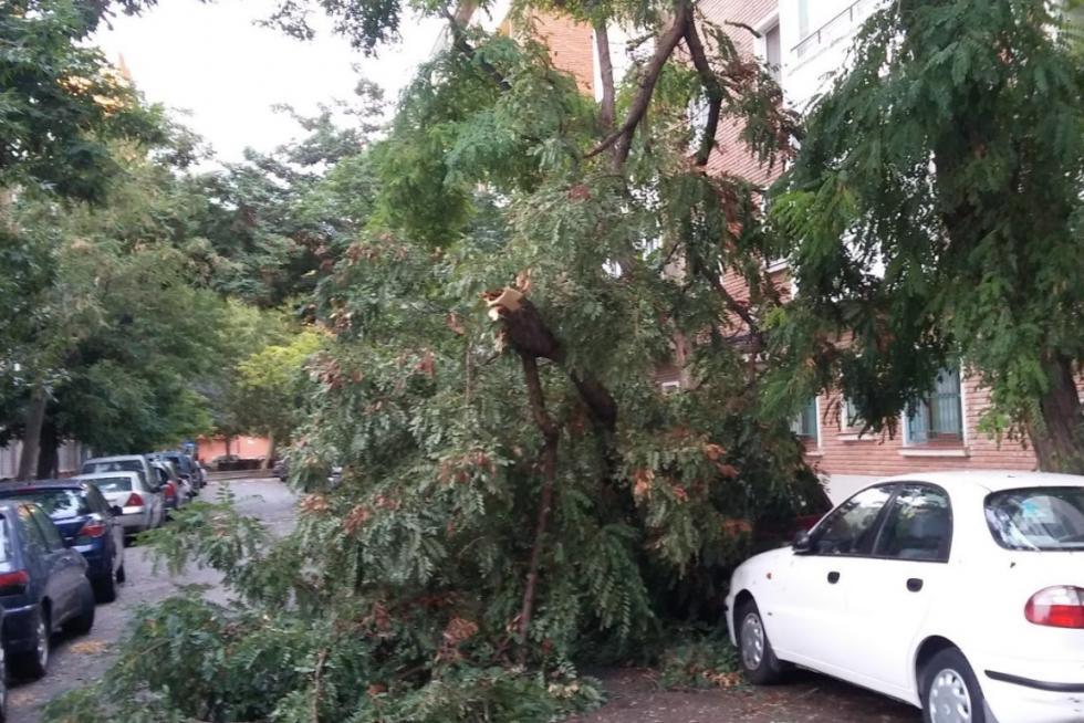Tormenta en Zaragoza
