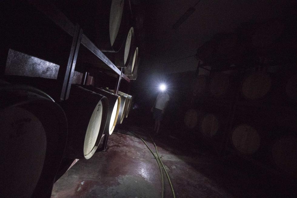 Jesús Simón en las instalaciones de Bodegas Tosos Ecológica