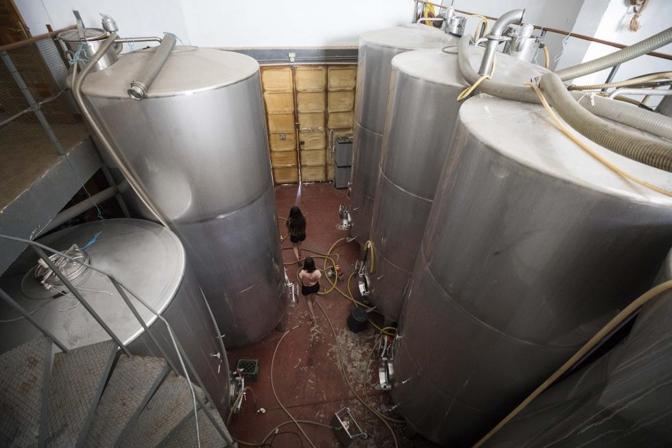Bodegas Tosos Ecológica