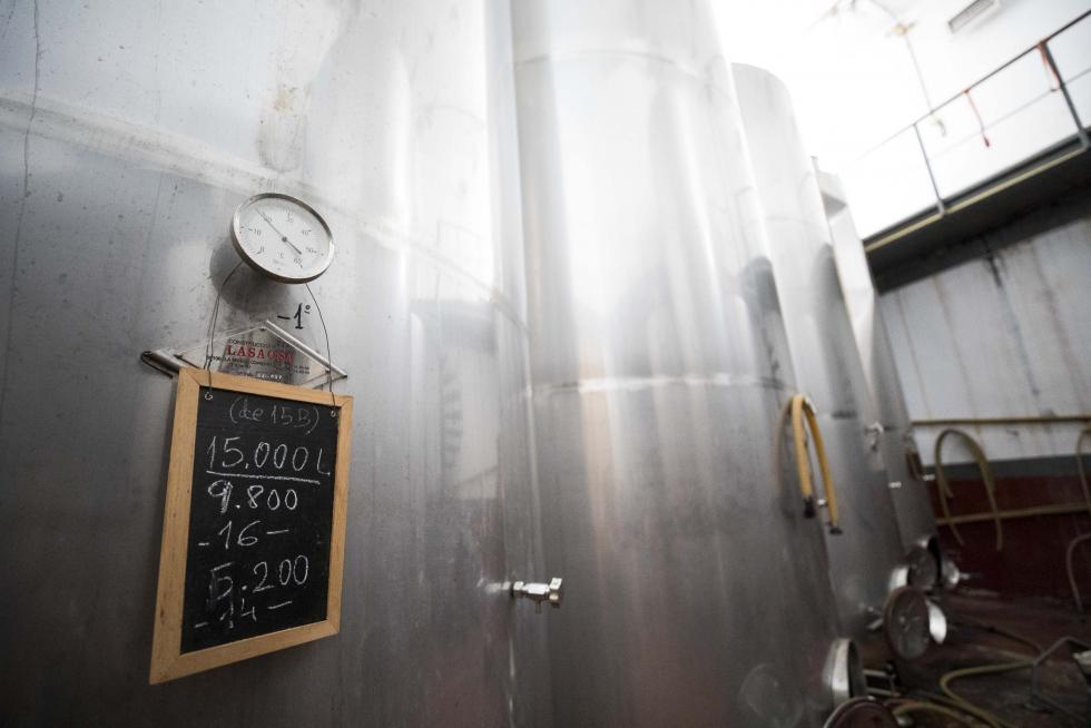 Bodegas Tosos Ecológica