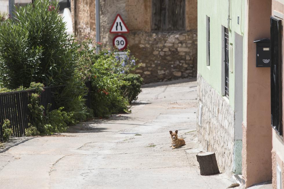 Calle de Tosos