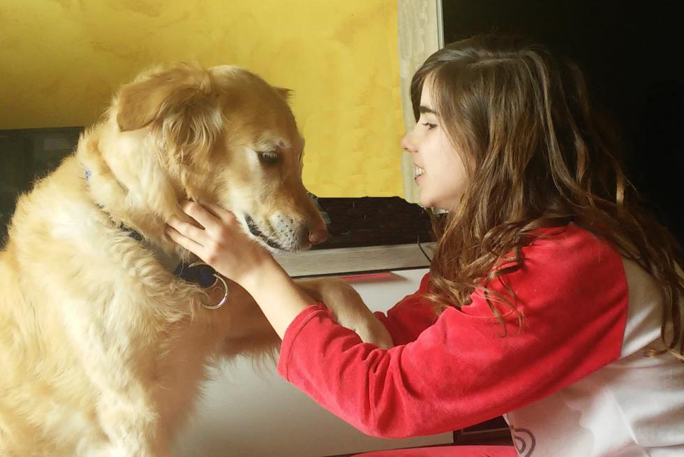 amor Amee