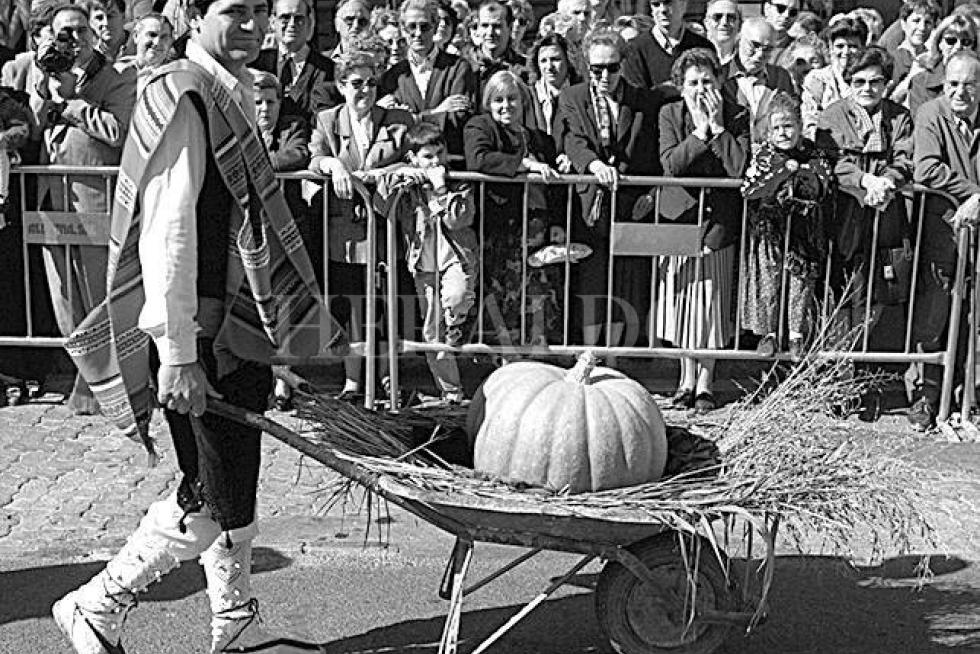 La Ofrenda de Frutos, en fotos