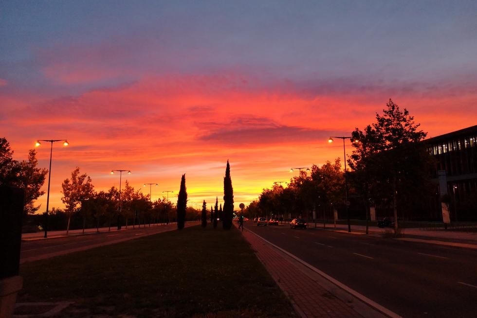 Amanecer en la Expo