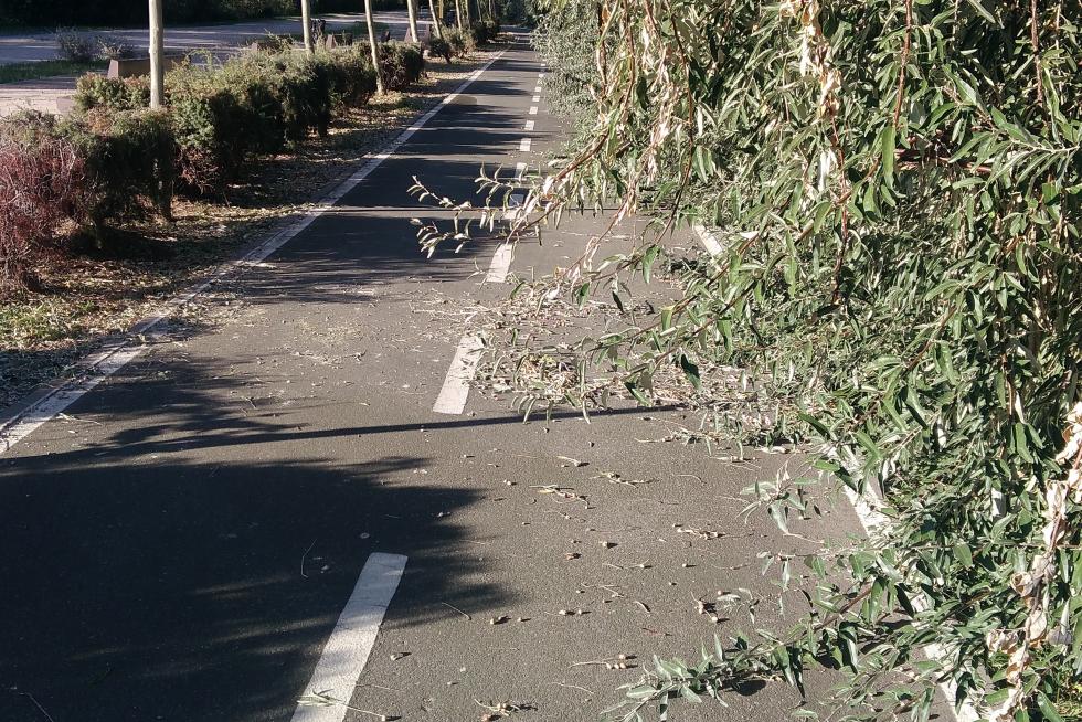 Cuidado ciclistas carril Bizi con pinchos