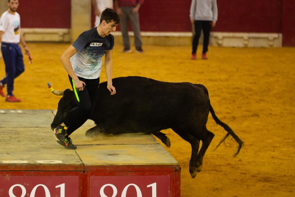 Quinta mañana de vaquillas en las fiestas del Pilar 2018