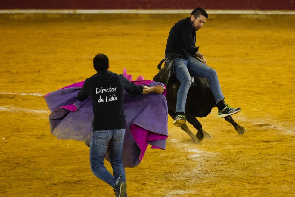 Sexta mañana de vaquillas en las fiestas del Pilar 2018