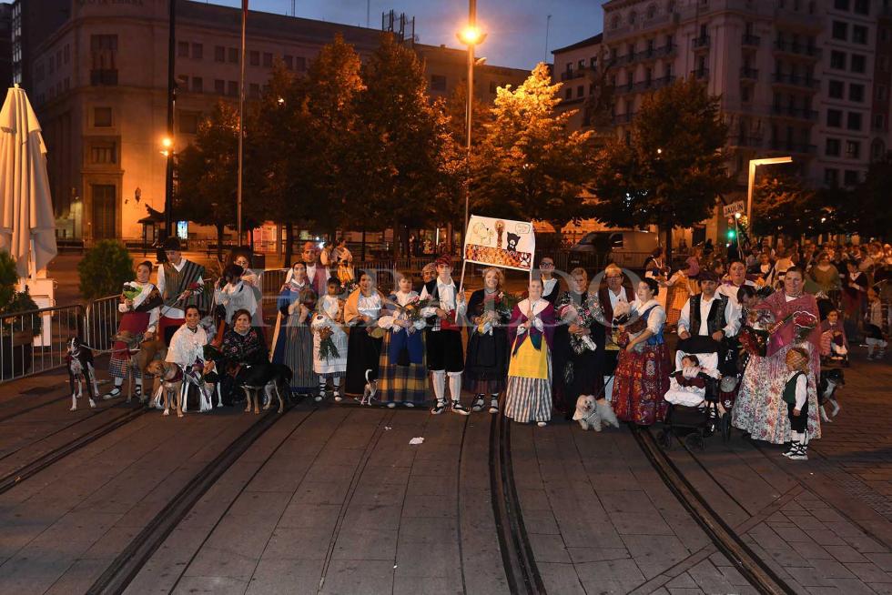 ASOCIACIÓN ZARPA