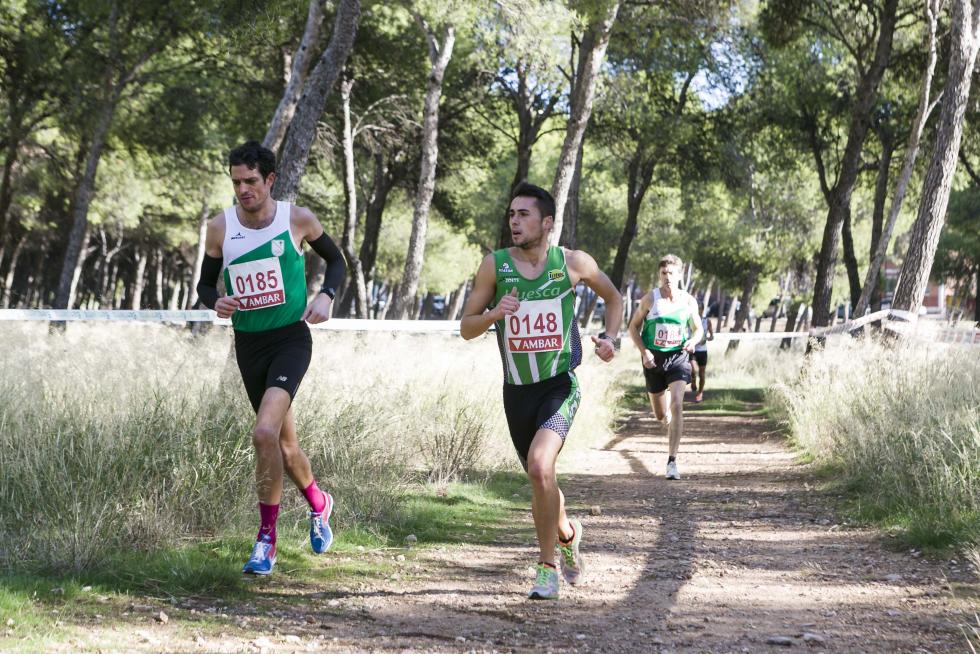 XIX Cross Stadium Venecia
