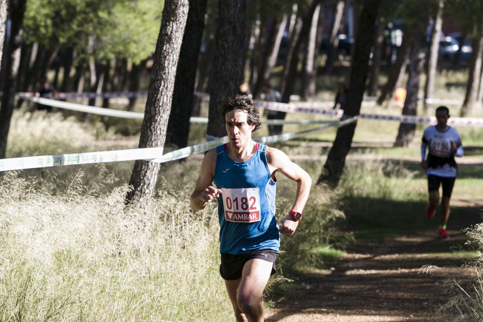 XIX Cross Stadium Venecia