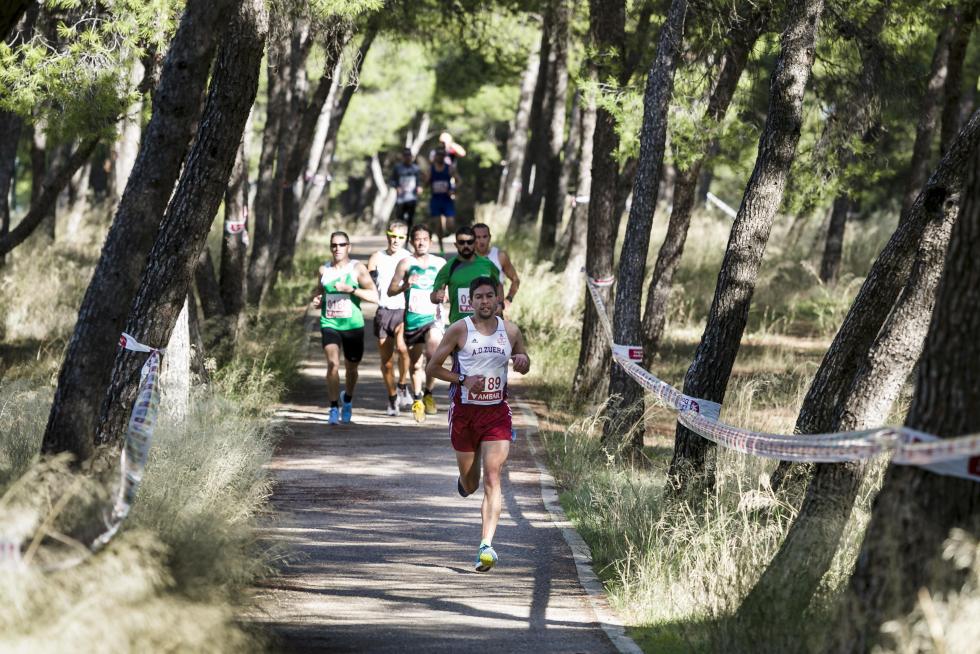 XIX Cross Stadium Venecia