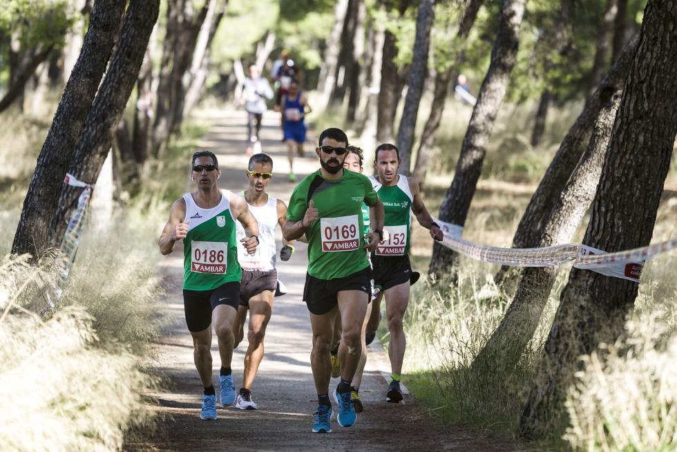 XIX Cross Stadium Venecia