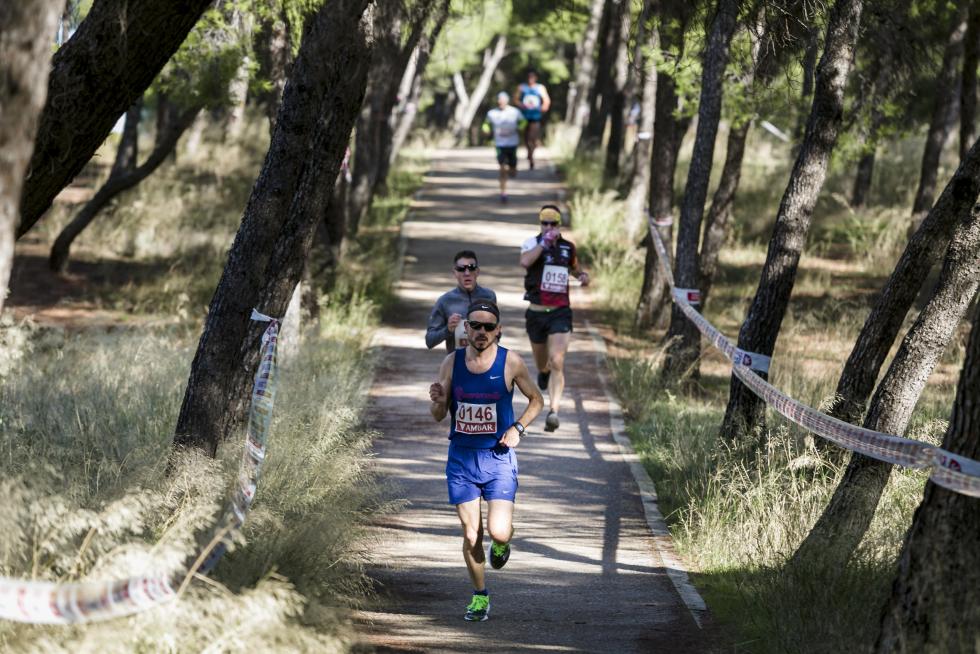 XIX Cross Stadium Venecia