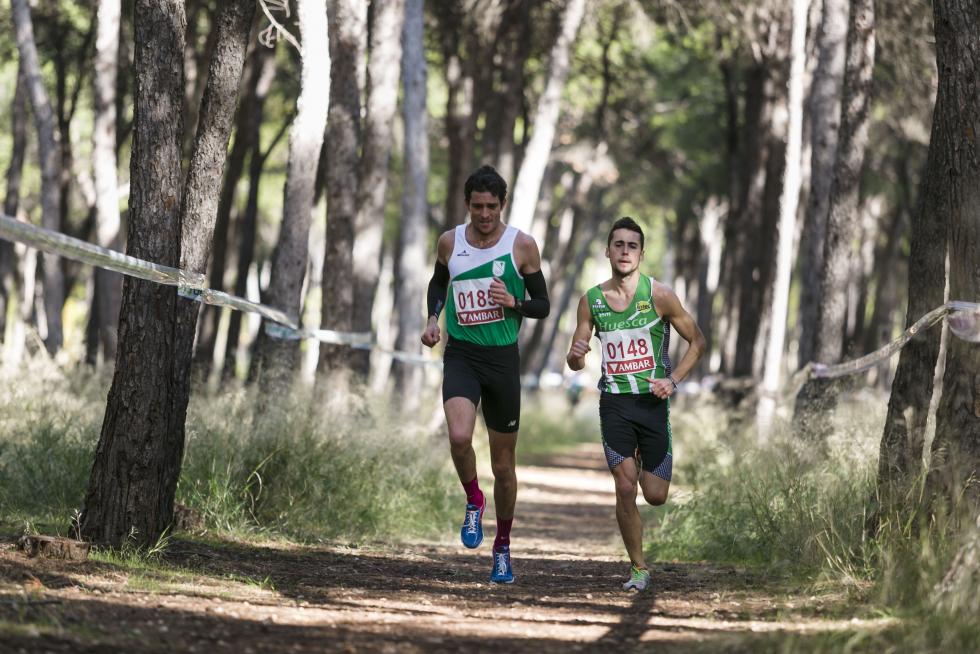 XIX Cross Stadium Venecia