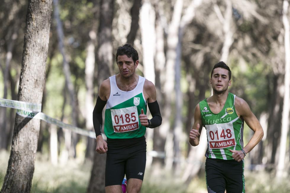 XIX Cross Stadium Venecia