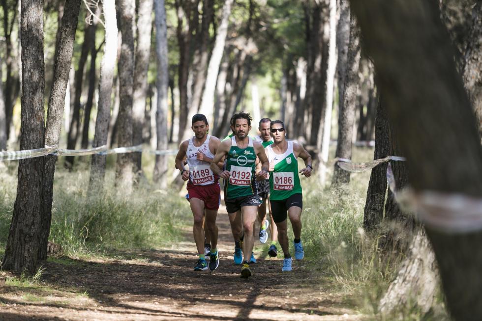 XIX Cross Stadium Venecia