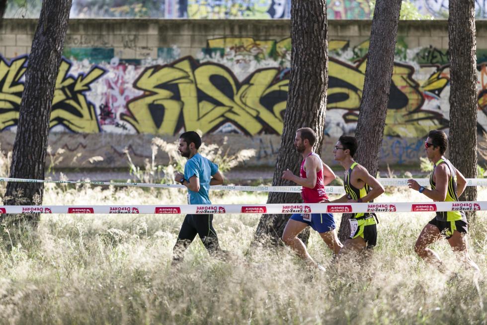 XIX Cross Stadium Venecia