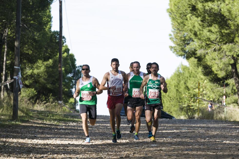 XIX Cross Stadium Venecia