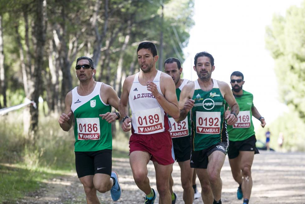 XIX Cross Stadium Venecia