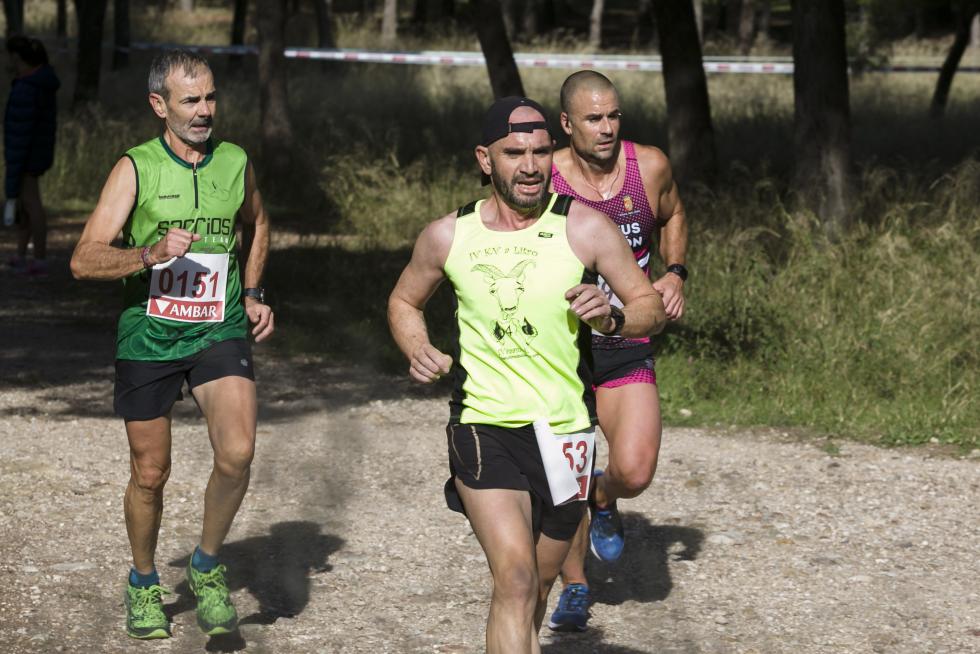 XIX Cross Stadium Venecia