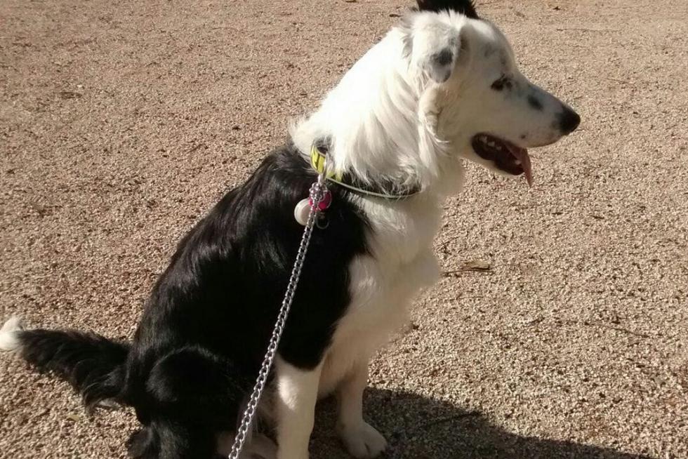 Zero