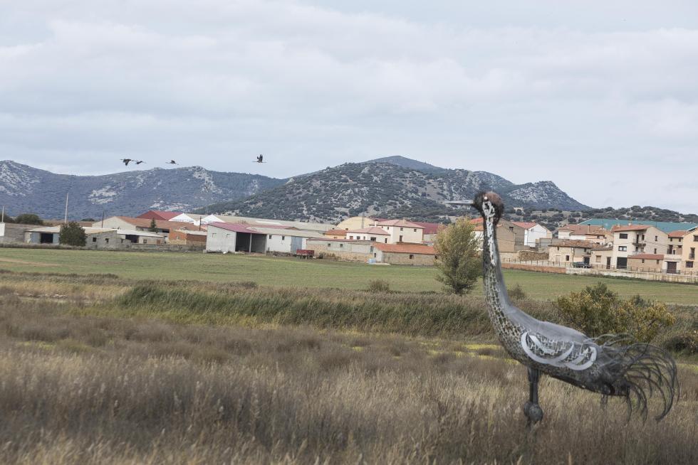 Fotos Gallocanta Imágenes