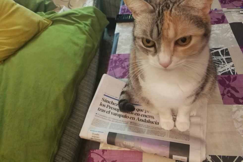 La bebé de la casa y heraldo
