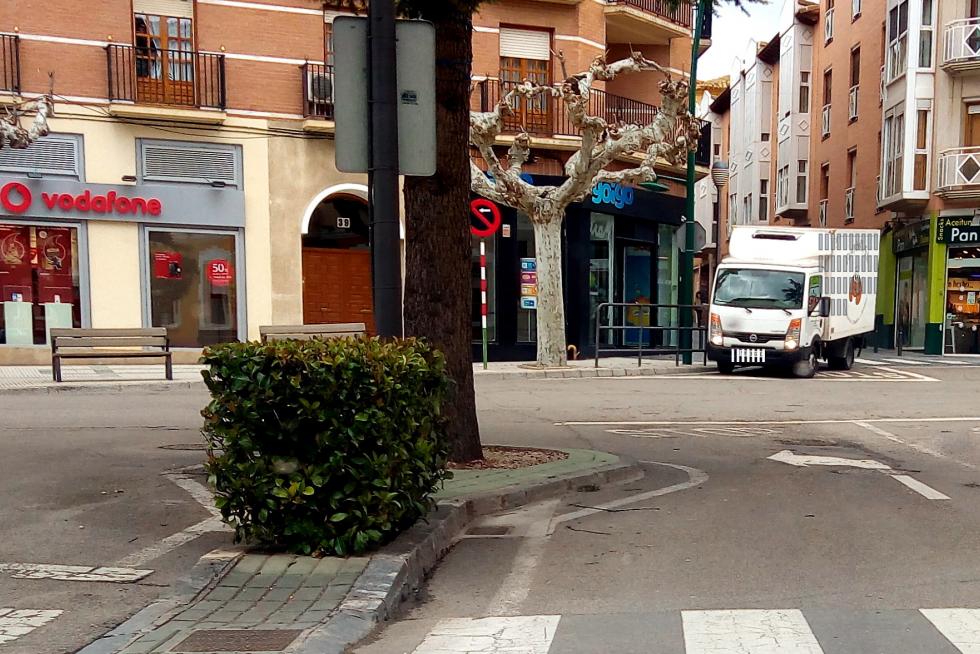 Ejea de los Caballeros. Junto al Ayuntamiento: árbol que invade dos carriles en el Pº Cosculluela.