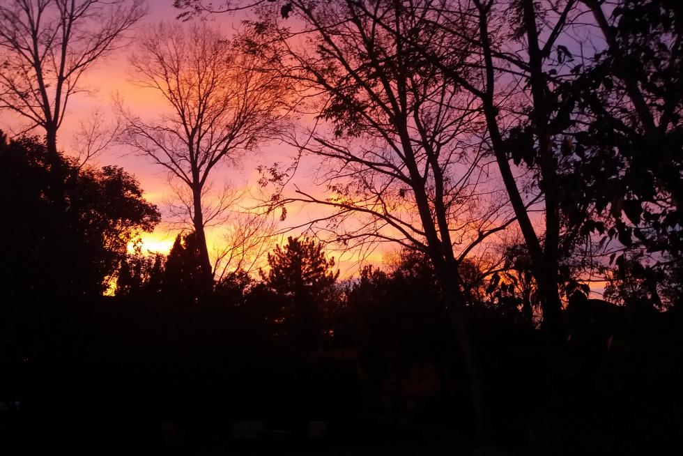 Atardecer