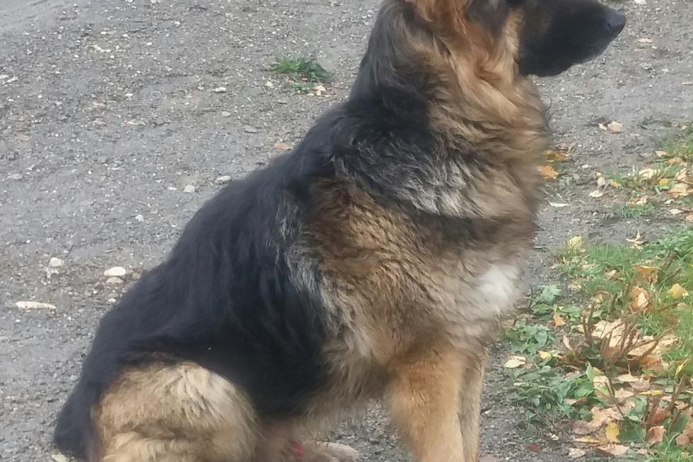 OTTO