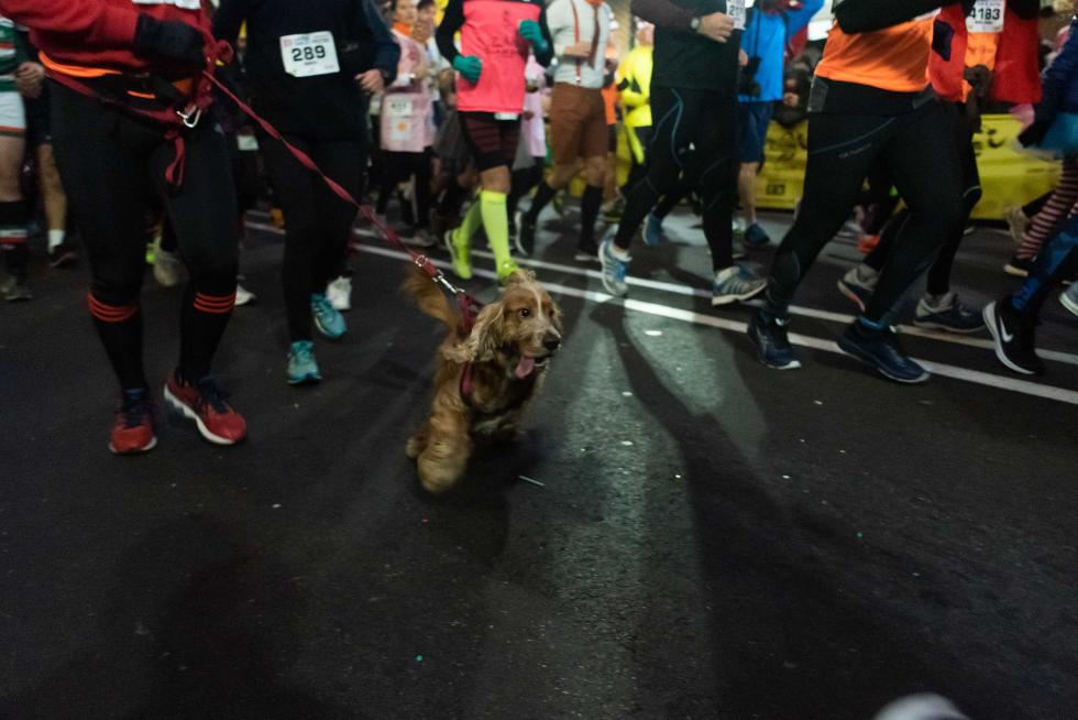 San Silvestre zaragozana 2018