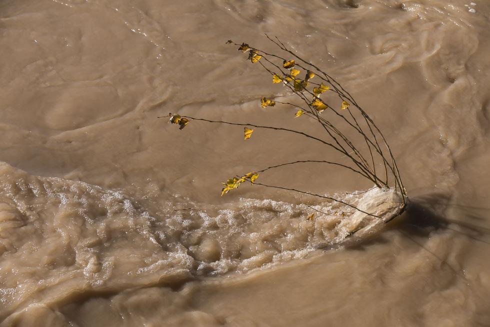 Crecida del Ebro a su paso por Zaragoza