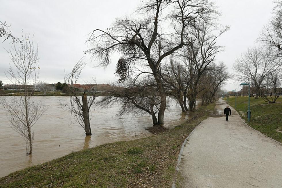 La crecida del Ebro llega a Zaragoza