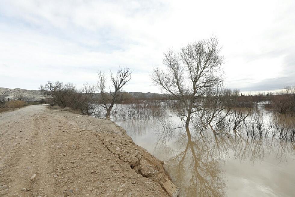 La crecida del Ebro, a su paso por Villafranca.
