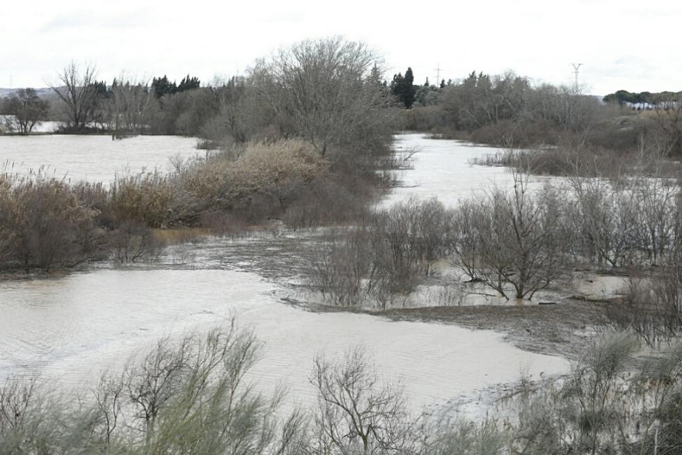 La crecida del Ebro, a su paso por El Burgo de Ebro.