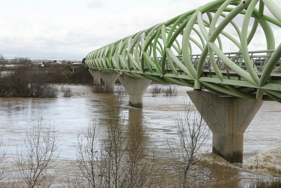 La crecida del Ebro, a su paso por La Cartuja.