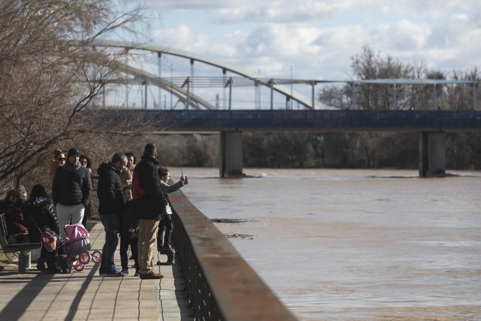 La crecida del Ebro llega a Zaragoza