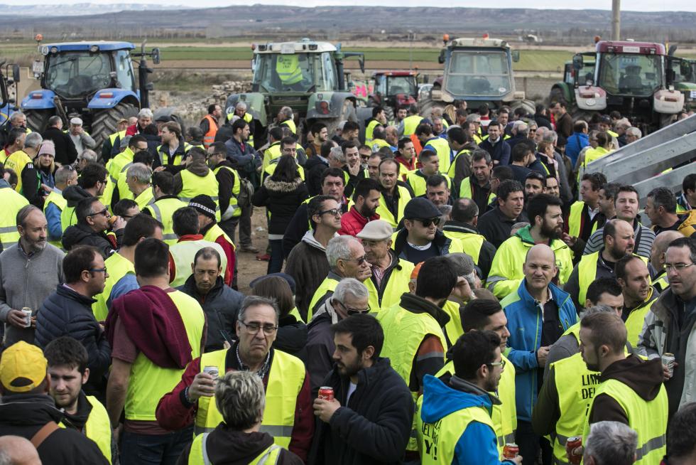 La ribera del Ebro dice basta y exige una limpieza urgente del cauce para minimizar las riadas