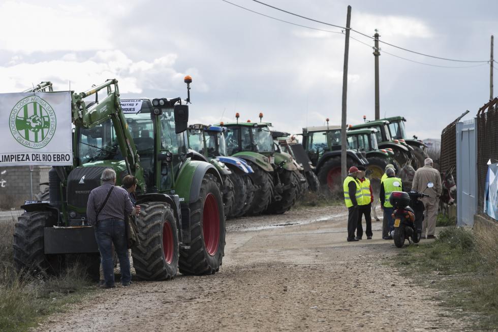 La ribera del Ebro dice basta y exige una limpieza urgente del cauce para minimizar las riadas